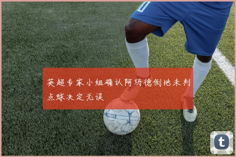 英超专家小组确认阿玛德倒地未判点球决定无误