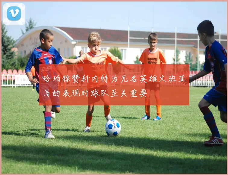哈珀称赞科内特为无名英雄文班亚马的表现对球队至关重要